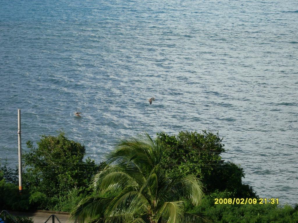 فندق Maracaibo View باهيا ماراكايبو المظهر الخارجي الصورة