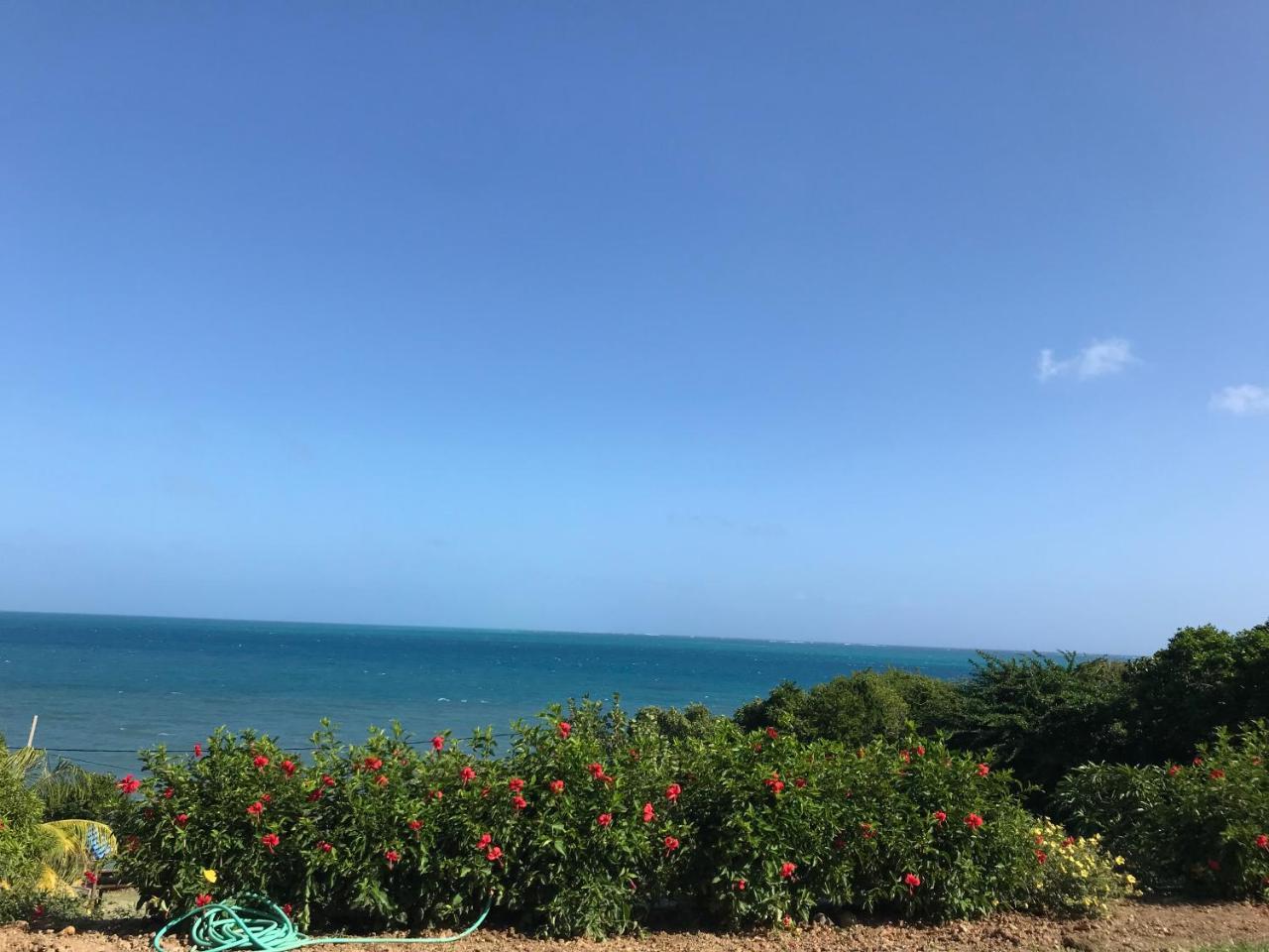فندق Maracaibo View باهيا ماراكايبو المظهر الخارجي الصورة
